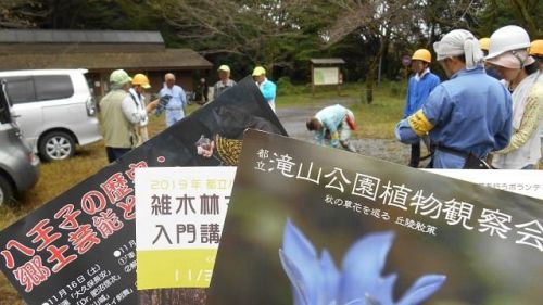 2019年10月20日 滝山城跡景観回復・維持作業「お屋敷跡」 「これナニ？」