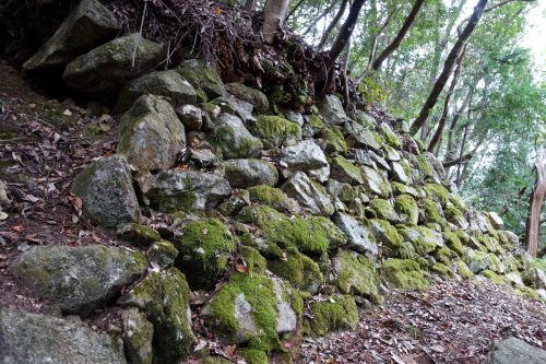 宇佐山城登城！　　　　　　　　　　　　　信長が近江で最初に石垣を用いた山城～