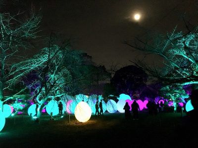 幻想的な福岡城