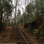 20/1/25 伊奈城、上平井館