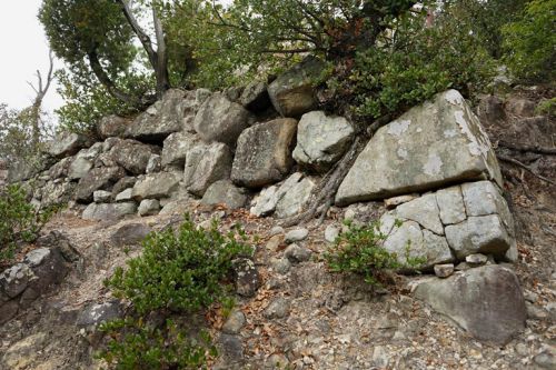 四国一周！　続１００名城と飲みテツの旅（５）－引田城～徳島