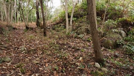 引田城（香川県）vol.3　化粧池から本丸へ。ここで化粧をしたのか！？