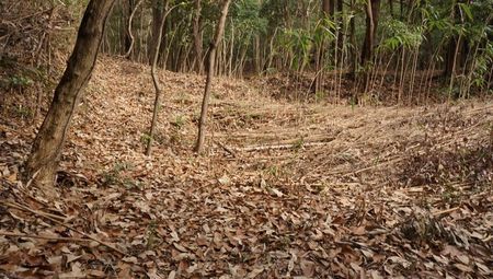 引田城（香川県）vol.4　番外編　大手道を探して登ってみた