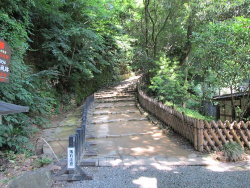 滋賀県彦根市：「彦根城内」で倒木処理！一部通行止めに！（実施日：２０１９年３月５日（火））