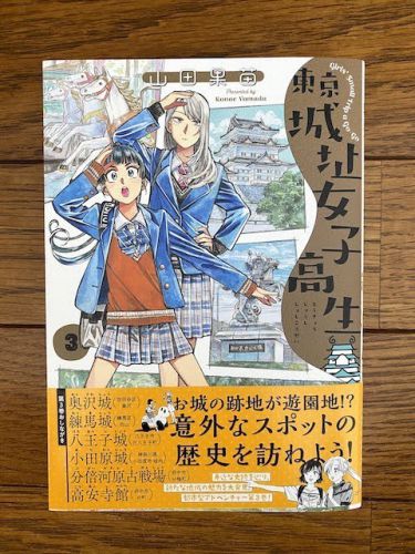 東京城址女子高生3（マンガ）買いました