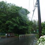 20/5/22 小林城山城