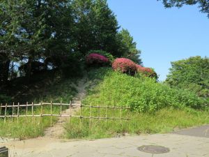 第382回：忍城（石田三成の水攻めを耐え抜いた浮城）