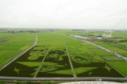 忍城おもてなし甲冑隊１０周年！行田市内でも沢山の方に出会ってきたんだ。（後編）甲斐