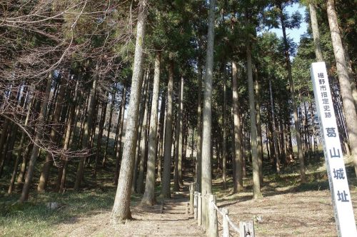 葛山城（駿河国）登城！ 今川・武田と仕えた国人衆の山城～