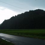 20/8/15(2) 堀江山城、矢板城