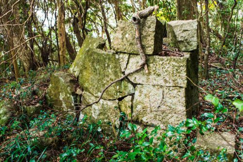 【日本100名城】指月山にあるという萩城山中櫓を探したみた