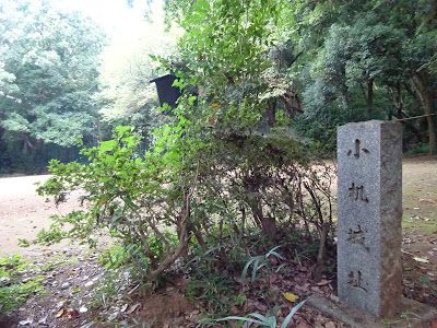 神奈川県を観光、小机城をお城巡り！