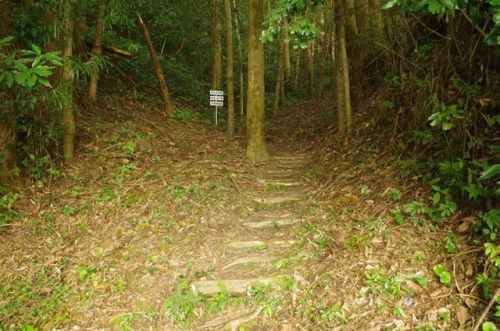 ふたたび「みんなの九州きっぷ」の旅（４）－高山城～帰宅