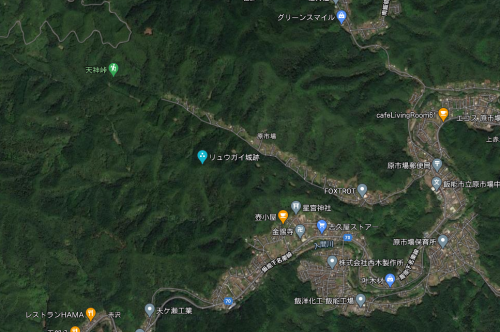 妻沢リュウガイ城　埼玉県飯能市