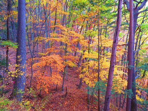 信濃松本　山家城（中入城）　 増築を重ね何時しか複合城郭並に