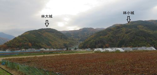 信濃松本　林大城　 信濃守護に相応しき直球勝負の要害