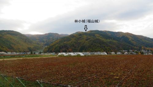 信濃松本　林小城　 小城とは名ばかり発達していく小笠原城郭の姿