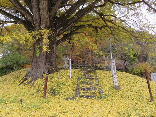 信濃松本　会田虚空蔵山城　 虚空蔵山城一周トレランで虚空をゆく