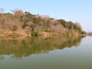 第319回：韮山城（北条氏の初期の本拠地，その終焉でも重要な役割を果たした）｛付 韮山代官所｝