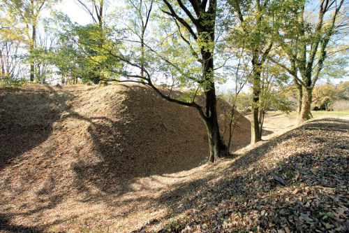 菅谷館登城！続日本100名城 31城目      戦国期に改変された中世城館～
