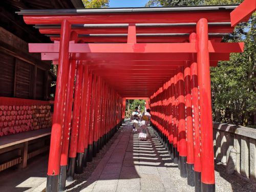 国宝「犬山城」近くにある縁結びのパワースポットで銭洗いでも有名！西陣織の御朱印帳も人気！「三光稲荷神社（さんこういなりじんじゃ）」