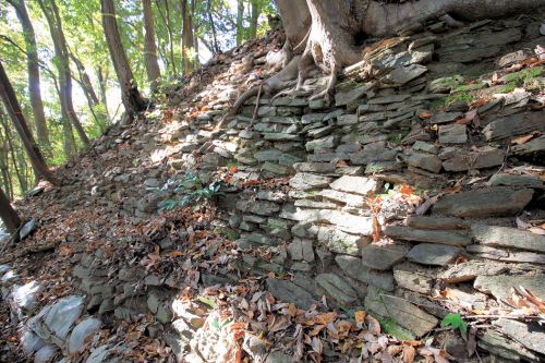 武蔵小倉城登城！比企城館跡群の一角を担う城～