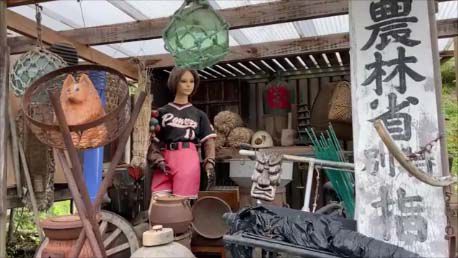 【2020秋の東北車旅16日間5日目】個人製作田舎道がまさにカオスの珍風景！「こだわり街道」明治時代初期までは天守閣が存在してた復元木造「白石城」