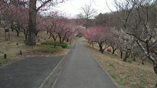 山田城の一部？？/山崎城