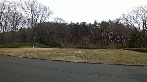 忍城の支城？武蔵松山城の支城？/山田城