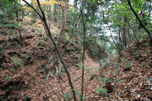 武蔵花園城登城！圧巻の岩盤堀切・岩盤竪堀を求めて～