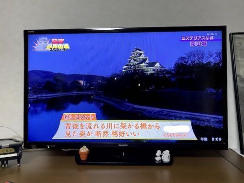 日本最強の城スペシャル　第8弾