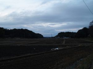 21/3/9 道場台城、鷺山城