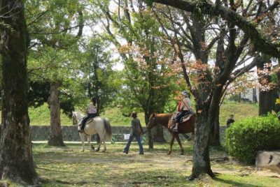 福岡城さくらまつりはイベント盛りだくさん！