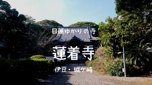 【蓮着寺】伊豆城ケ崎にある日蓮ゆかりの寺、天然記念物のヤマモモの大木あり｜伊豆・城ケ崎
