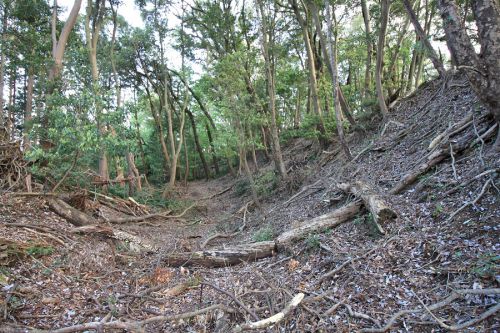 伊豆 鎌田城登城！技巧的な遺構を現代に伝える山城～