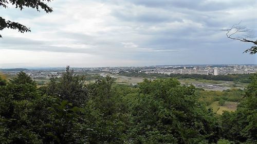 滝山城跡 景観維持･回復活動 &rdquo;見逃がし厳禁&rdquo;「出丸」 2021/5/16