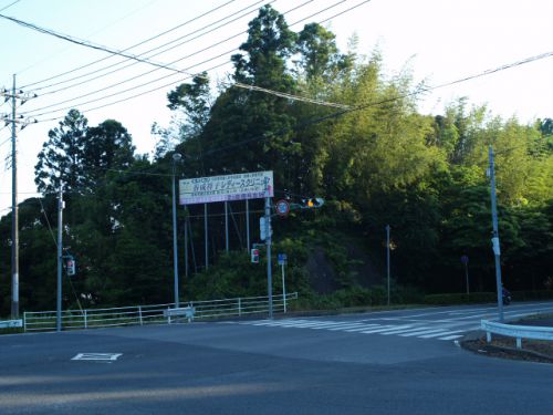 21/5/31 高岡城(佐倉市)