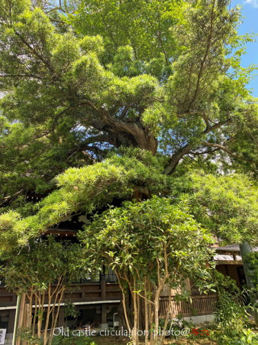 二本松寺　茨城県潮来市