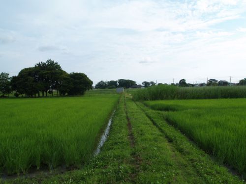 21/6/23 嶋野土腐館・飯沼城