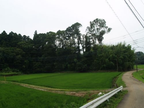 21/7/6 八木城(佐倉市)