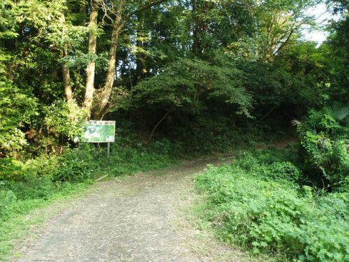 21/8/29 宇留野城