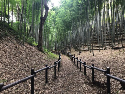 城ぶら「小机城」！空堀好きにはたまらない&hellip;横浜の戦国城址