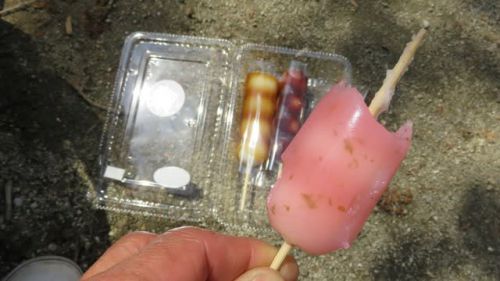 船岡城址で一服