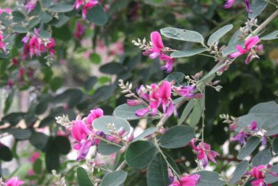 「福岡城のイベントで秋を満喫」