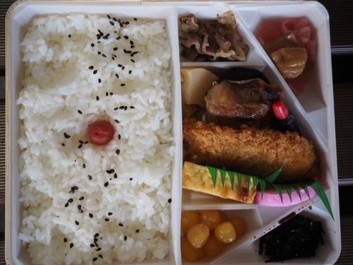 福井・城と飲みテツ＆レンタカーの旅（１）ー小浜城