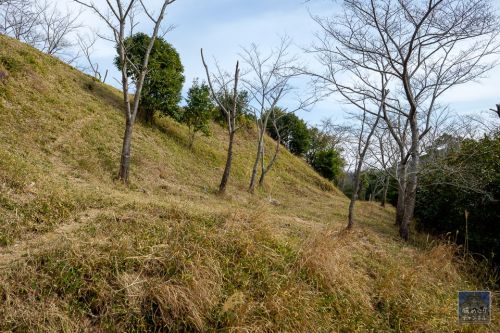 手取城 [2/3] 崩落防止の石積跡が随所に残る主郭周囲を散策。
