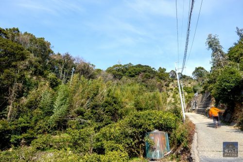 広城 : 紀伊国守護 畠山氏の室町中期の本拠地