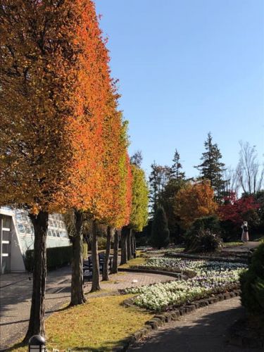 安城市デンパーク　