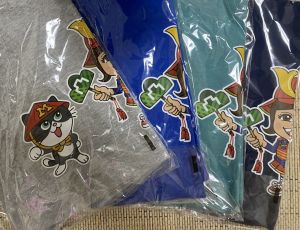 「山城ガールむつみさんと歩く三浦一族ゆかりの地」お城EXPO2021追加情報