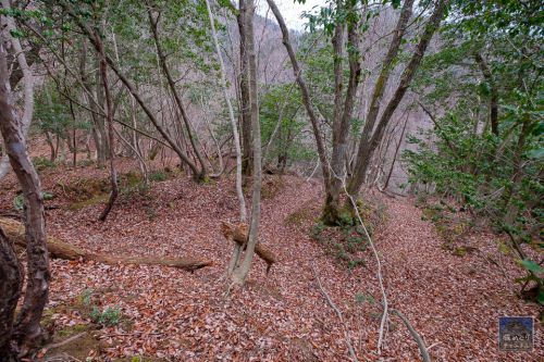 伊賀谷城 [2/2] 城の北側を堅固に守る巨大な二連堀切へ。